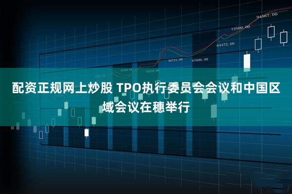 配资正规网上炒股 TPO执行委员会会议和中国区域会议在穗举行