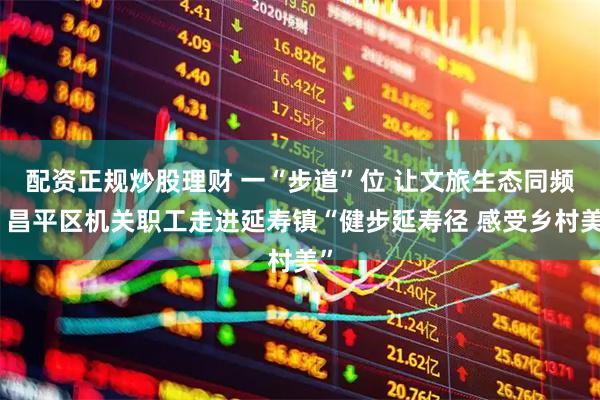 配资正规炒股理财 一“步道”位 让文旅生态同频｜昌平区机关职工走进延寿镇“健步延寿径 感受乡村美”
